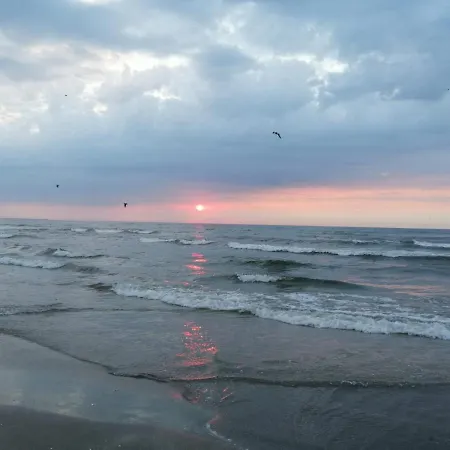 Summerland * Mamaia